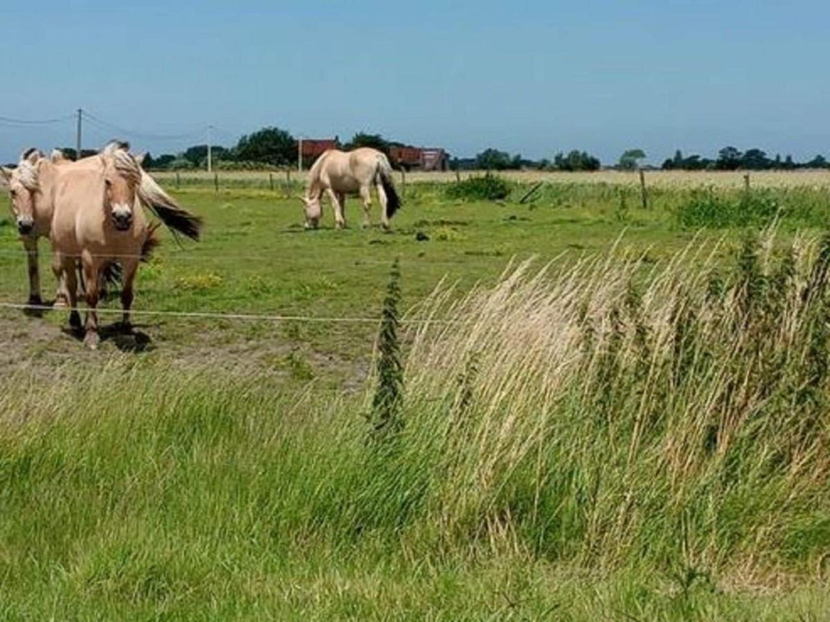 Lovely Apartment Near The Sea Bredene Luaran gambar